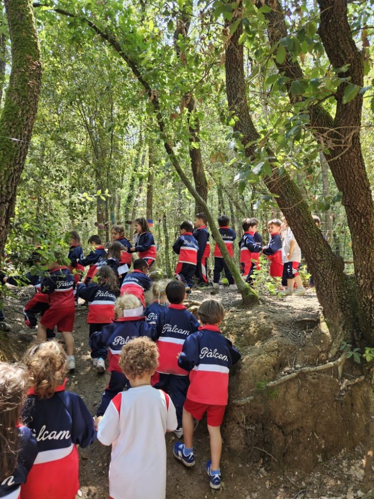 ANEM D’EXCURSIÓ A LA GRANJA!