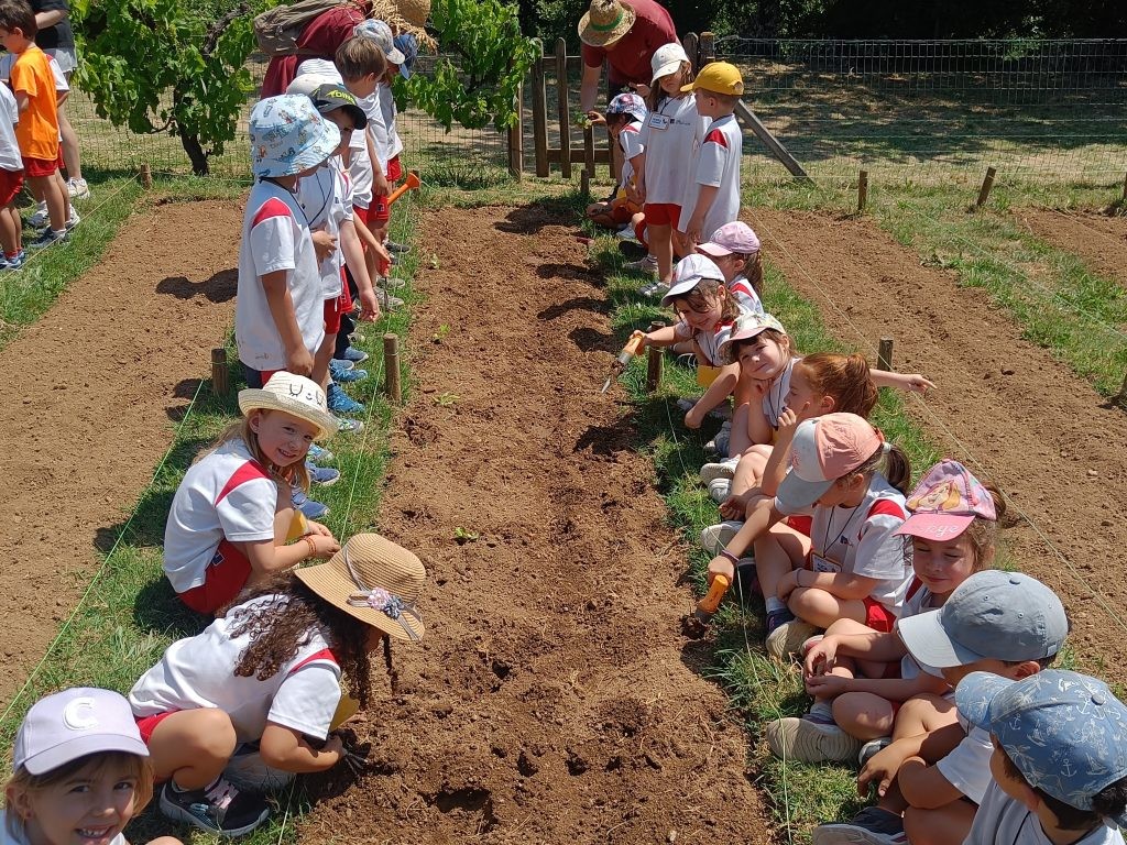 SORTIDA A L'HORT I4