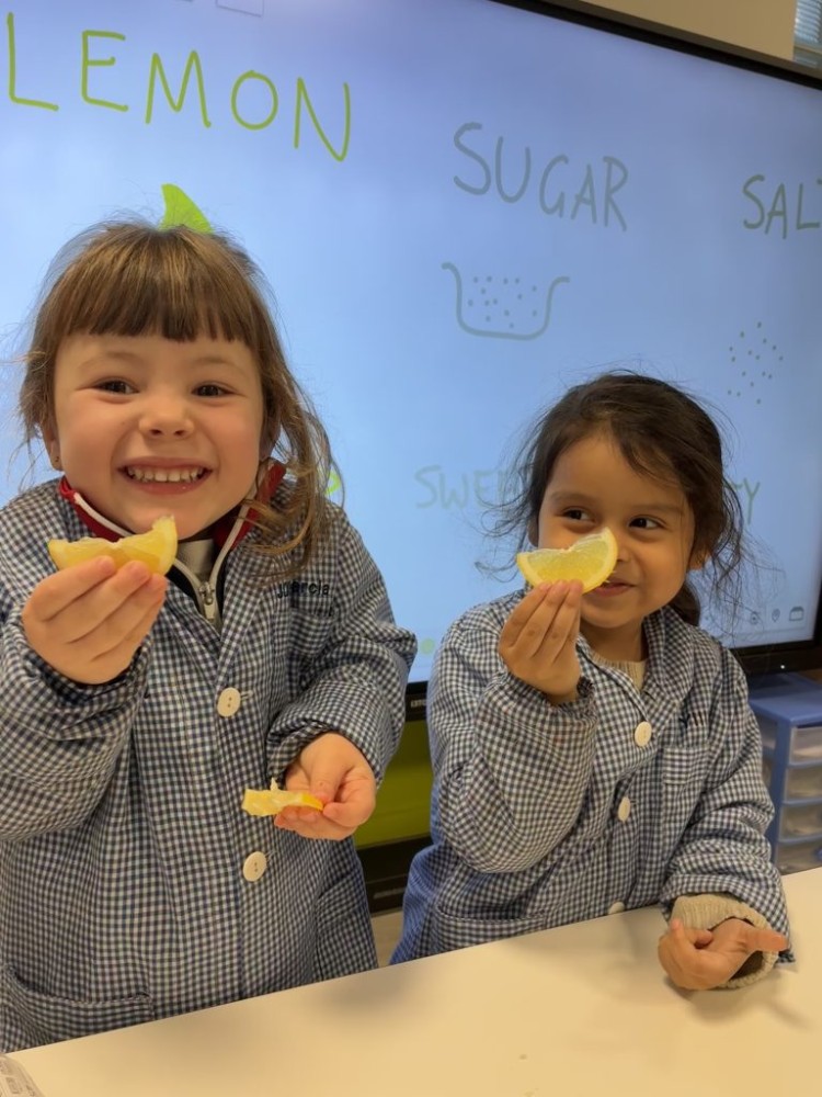 I4: Exploring Healthy Food and Habits