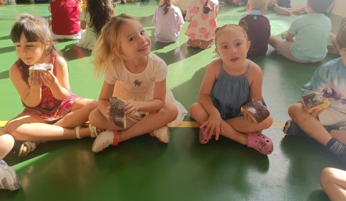 IMG 20260619 111910