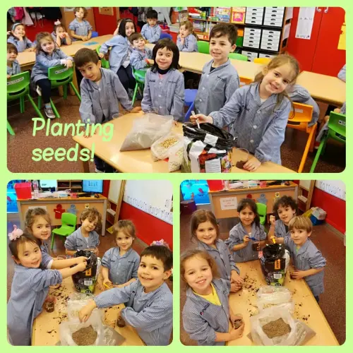 P4a-planting-seeds
